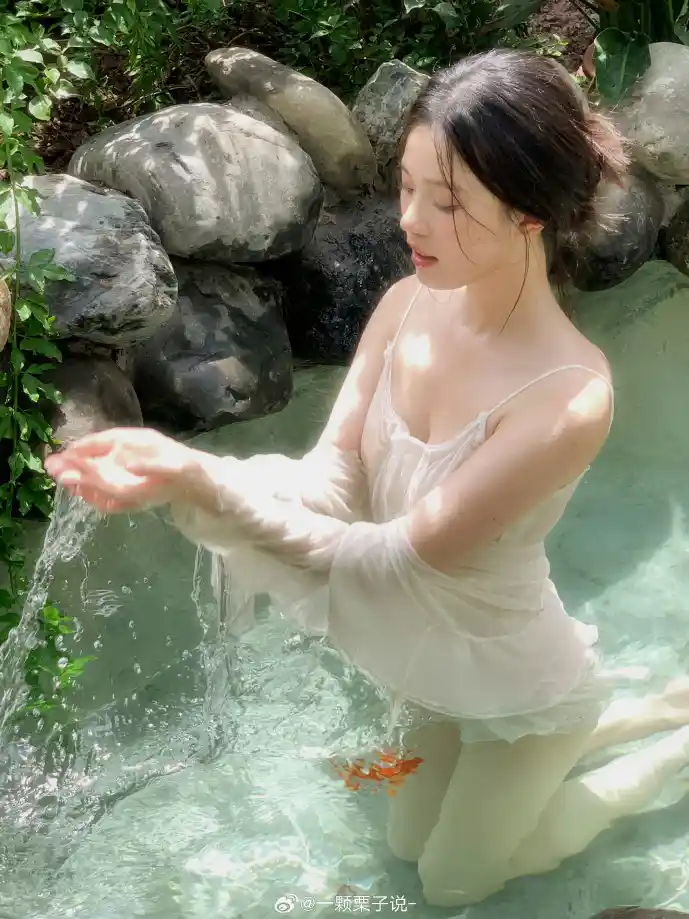 分期消费数据图表